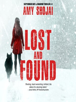 cover image of Lost and Found